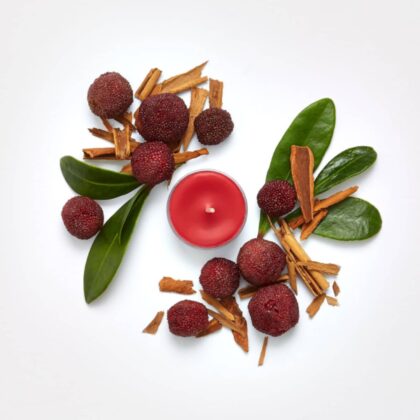 Cinnamon-Bayberry Duft-Teelichter von PartyLite